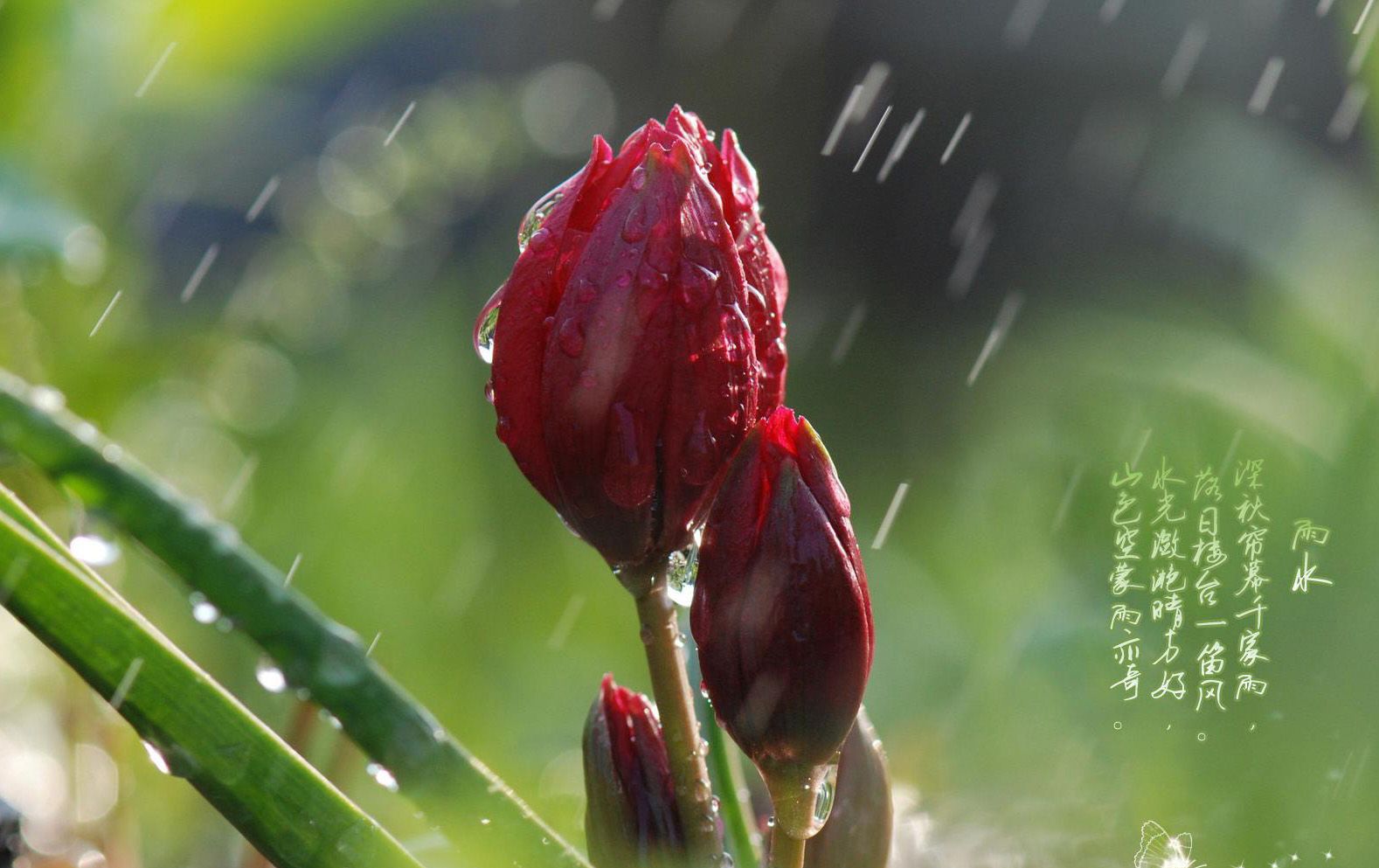 点击图片进入下一页